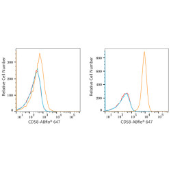ABflo® 647 Rabbit anti-Human CD58 mAb