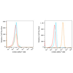 ABflo® 488 Rabbit anti-Human CD68 mAb