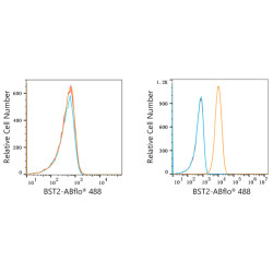 ABflo® 488 Rabbit anti-Human CD317/BST2 mAb