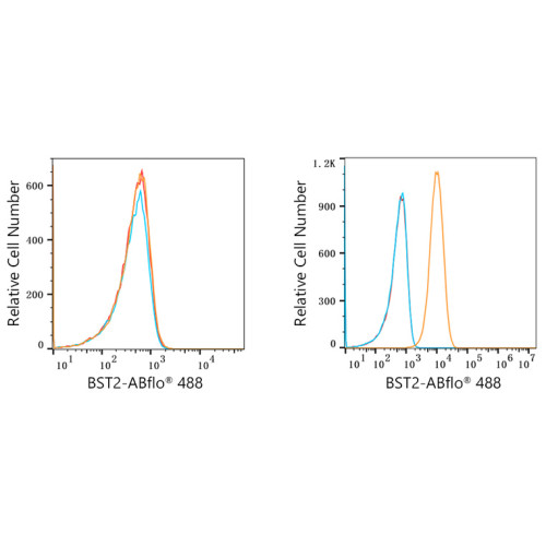 ABflo® 488 Rabbit anti-Human CD317/BST2 mAb