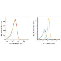 ABflo® 647 Rabbit anti-Human CD146 mAb