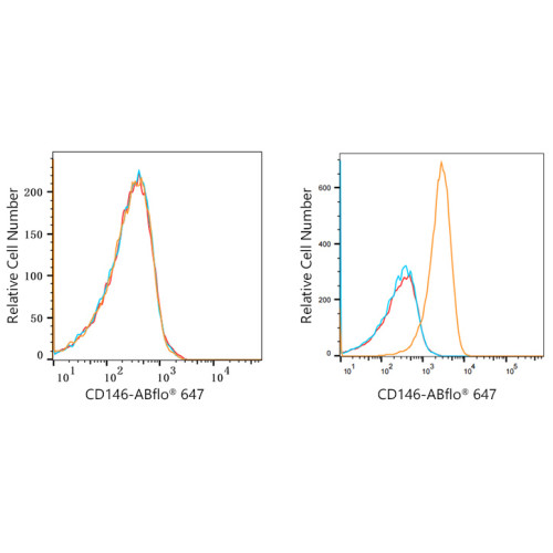 ABflo® 647 Rabbit anti-Human CD146 mAb