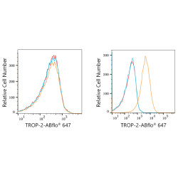 ABflo® 647 Rabbit anti-Human TROP-2 mAb