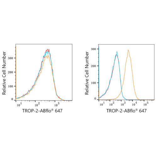 ABflo® 647 Rabbit anti-Human TROP-2 mAb