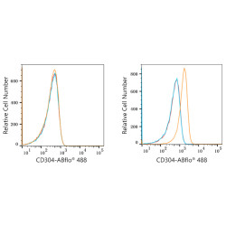 ABflo® 488 Rabbit anti-Human CD304/Neuropilin-1 mAb