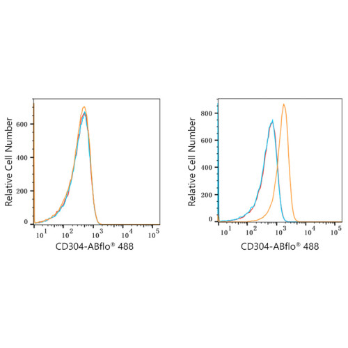 ABflo® 488 Rabbit anti-Human CD304/Neuropilin-1 mAb