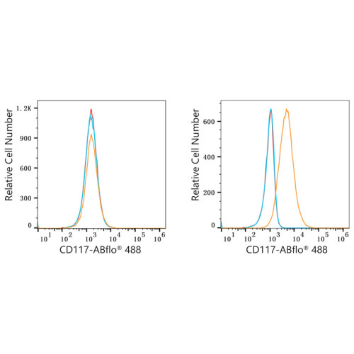 ABflo® 488 Rabbit anti-Human CD117/c-Kit mAb