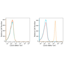 ABflo® 647 Rabbit anti-Human CD59 mAb