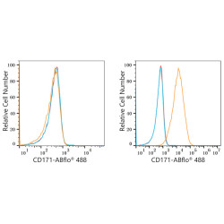 ABflo® 488 Rabbit anti-Human CD171/L1CAM mAb