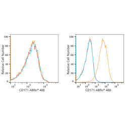 ABflo® 647 Rabbit anti-Human CD171/L1CAM mAb