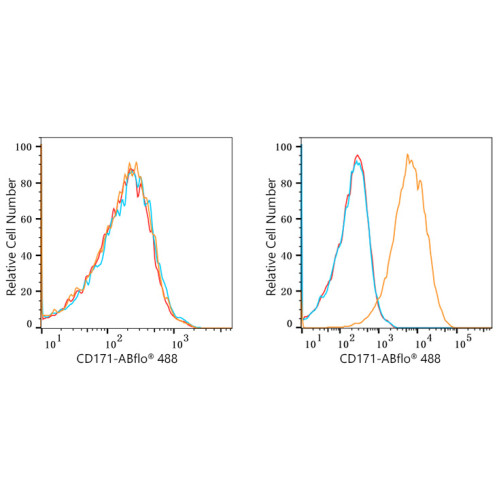 ABflo® 647 Rabbit anti-Human CD171/L1CAM mAb