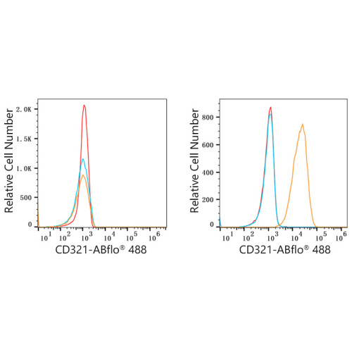 ABflo® 488 Rabbit anti-Human CD321/JAM-1 mAb