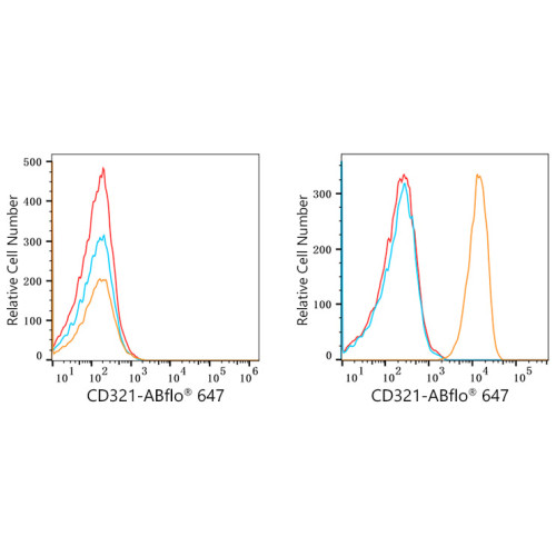 ABflo® 647 Rabbit anti-Human CD321/JAM-1 mAb