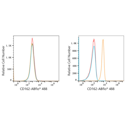 ABflo® 488 Rabbit anti-Human CD162/PSGL-1 mAb