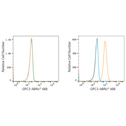 ABflo® 488 Rabbit anti-Human Glypican 3/GPC3 mAb