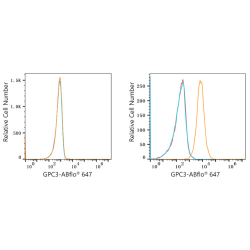 ABflo® 647 Rabbit anti-Human Glypican 3/GPC3 mAb