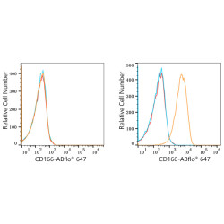 ABflo® 647 Rabbit anti-Human CD166/ALCAM mAb