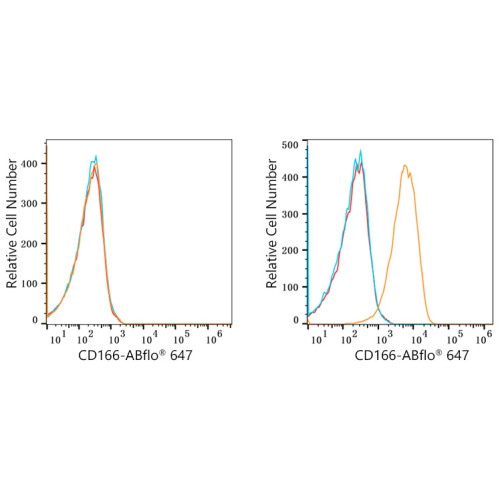 ABflo® 647 Rabbit anti-Human CD166/ALCAM mAb