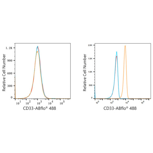 ABflo® 488 Rabbit anti-Human CD33 mAb