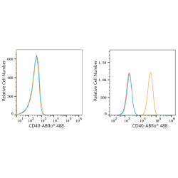 ABflo® 488 Rabbit anti-Human CD40 mAb