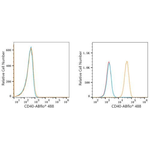 ABflo® 488 Rabbit anti-Human CD40 mAb