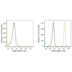 ABflo® 647 Rabbit anti-Human CD40 mAb