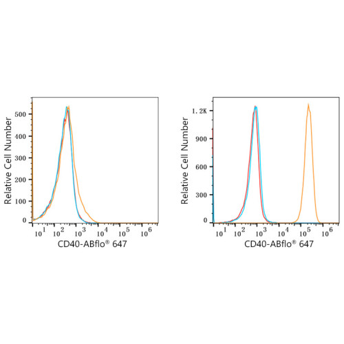 ABflo® 647 Rabbit anti-Human CD40 mAb