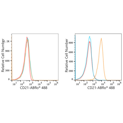 ABflo® 488 Rabbit anti-Human CD21/CR2 mAb