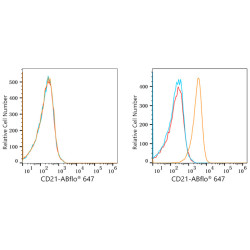 ABflo® 647 Rabbit anti-Human CD21/CR2 mAb