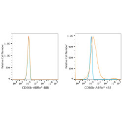ABflo® 488 Rabbit anti-Human CD66b/CEACAM8 mAb