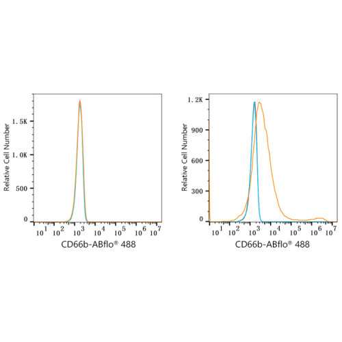 ABflo® 488 Rabbit anti-Human CD66b/CEACAM8 mAb