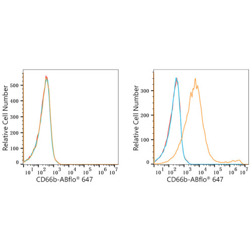 ABflo® 647 Rabbit anti-Human CD66b/CEACAM8 mAb