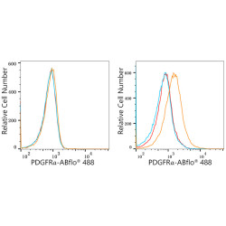 ABflo® 488 Rabbit anti-Human/Mouse CD140a/PDGFRα mAb