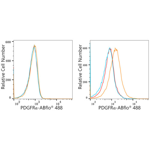 ABflo® 488 Rabbit anti-Human/Mouse CD140a/PDGFRα mAb