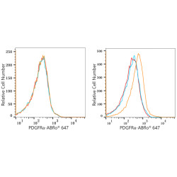 ABflo® 647 Rabbit anti-Human/Mouse CD140a/PDGFRα mAb