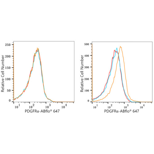 ABflo® 647 Rabbit anti-Human/Mouse CD140a/PDGFRα mAb