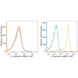 ABflo® 647 Rabbit anti-Human CD324/E-Cadherin mAb