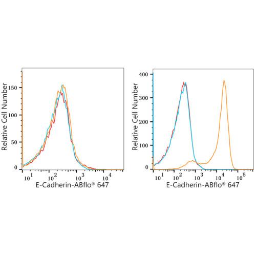 ABflo® 647 Rabbit anti-Human CD324/E-Cadherin mAb