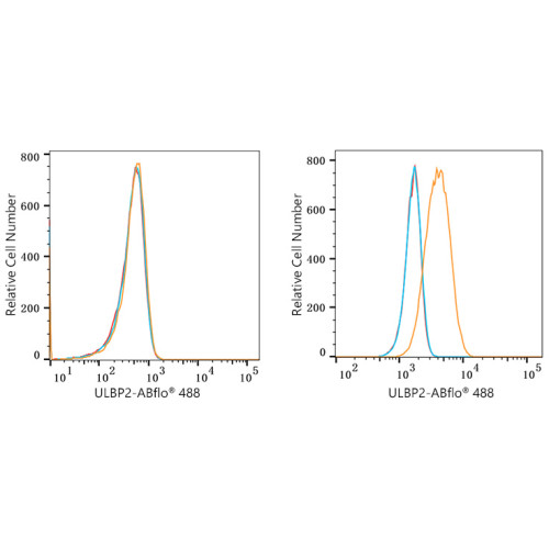 ABflo® 488 Rabbit anti-Human ULBP2 mAb