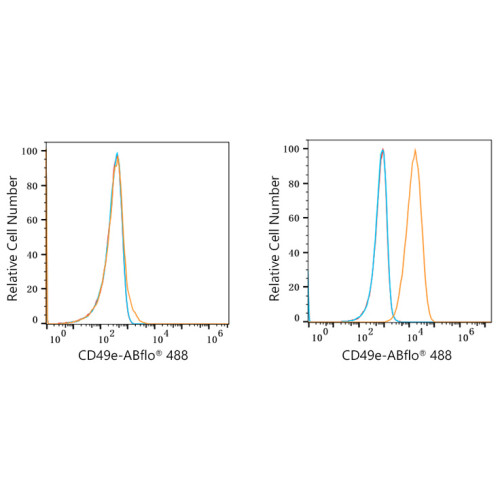 ABflo® 488 Rabbit anti-Human/Mouse CD49e/ITGA5 mAb