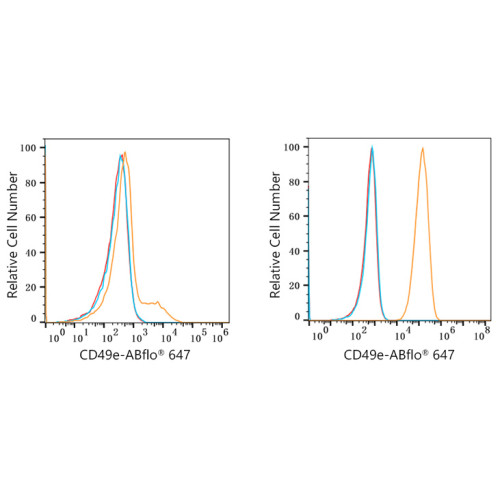ABflo® 647 Rabbit anti-Human/Mouse CD49e/ITGA5 mAb