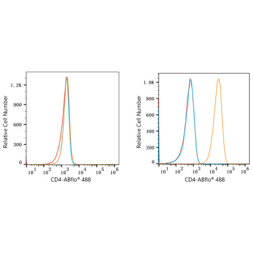 ABflo® 488 Rabbit anti-Human/Monkey CD4 mAb