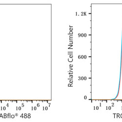 ABflo® 488 Rabbit anti-Goat IgG (Fc) fragment mAb