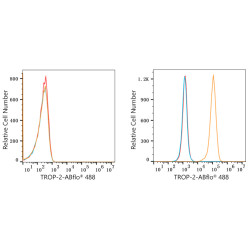 ABflo® 488 Rabbit anti-Goat IgG (Fc) fragment mAb