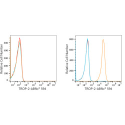 ABflo® 594 Rabbit anti-Goat IgG (Fc) fragment mAb