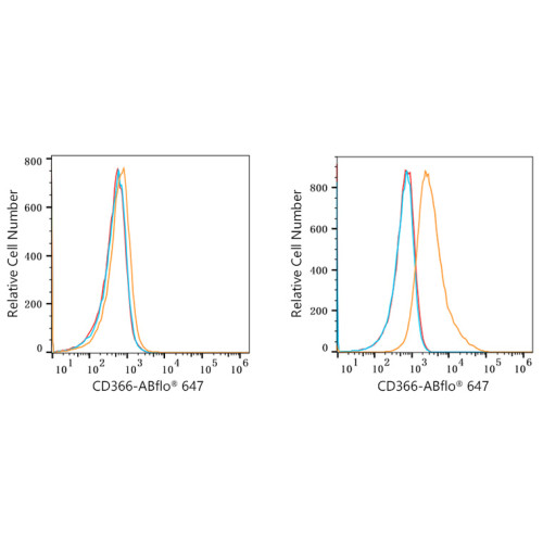 ABflo® 647 Rabbit anti-Mouse CD366/TIM-3/HAVCR2 mAb