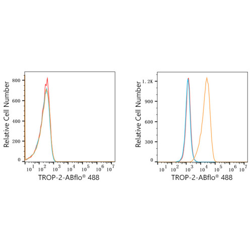 ABflo® 488 Rabbit anti-Goat IgG (Fab) fragment mAb