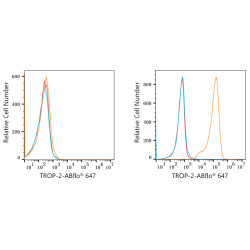 ABflo® 647 Rabbit anti-Goat IgG (Fab) fragment mAb