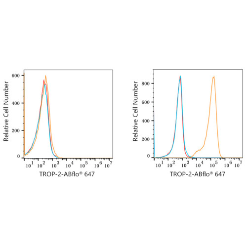 ABflo® 647 Rabbit anti-Goat IgG (Fab) fragment mAb