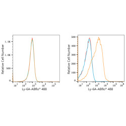 ABflo® 488 Rabbit anti-Mouse Ly-6A/E (Sca-1) mAb